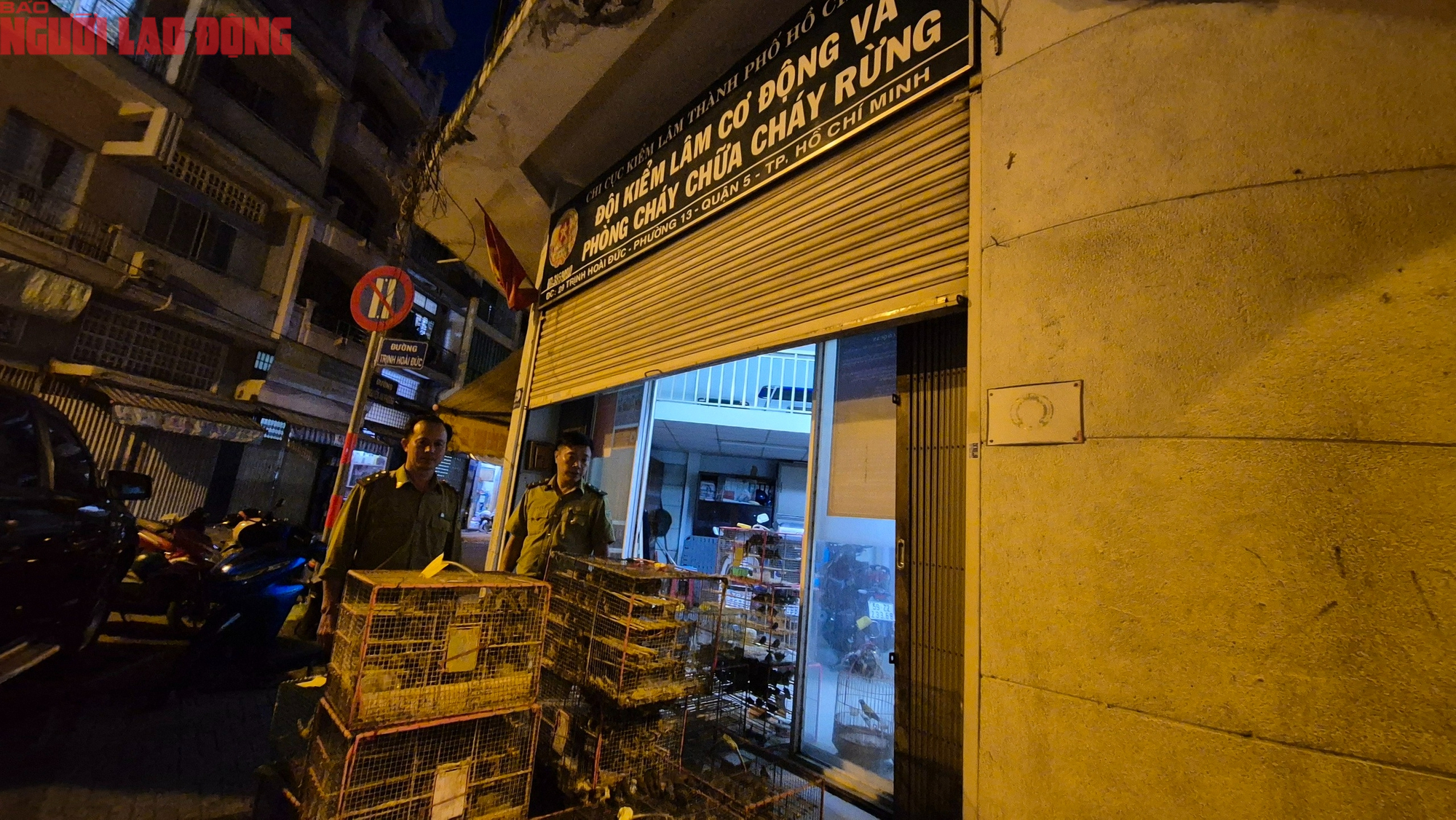 TPHCM xử lý tiểu thương lấn chiếm lòng đường bán chim hoang dã trái phép - Ảnh 3. TPHCM xử lý tiểu thương lấn chiếm lòng đường bán chim hoang dã trái phép - Ảnh 3.