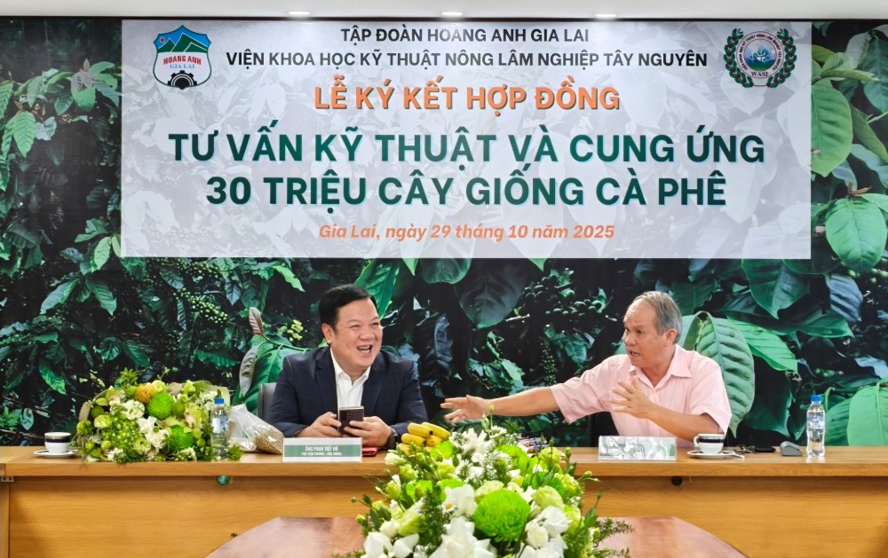 Bầu Đức và hành trình HAGL từ vực phá sản đến lãi ngàn tỉ - Ảnh 4. Bầu Đức và hành trình HAGL từ vực phá sản đến lãi ngàn tỉ - Ảnh 4.