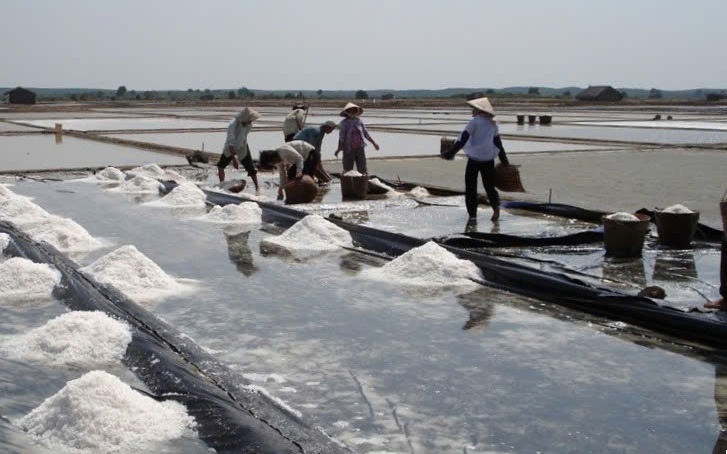 100 m&oacute;n muối độc đ&aacute;o c&ugrave;ng &aacute;o d&agrave;i Việt được vinh danh - Ảnh 3.