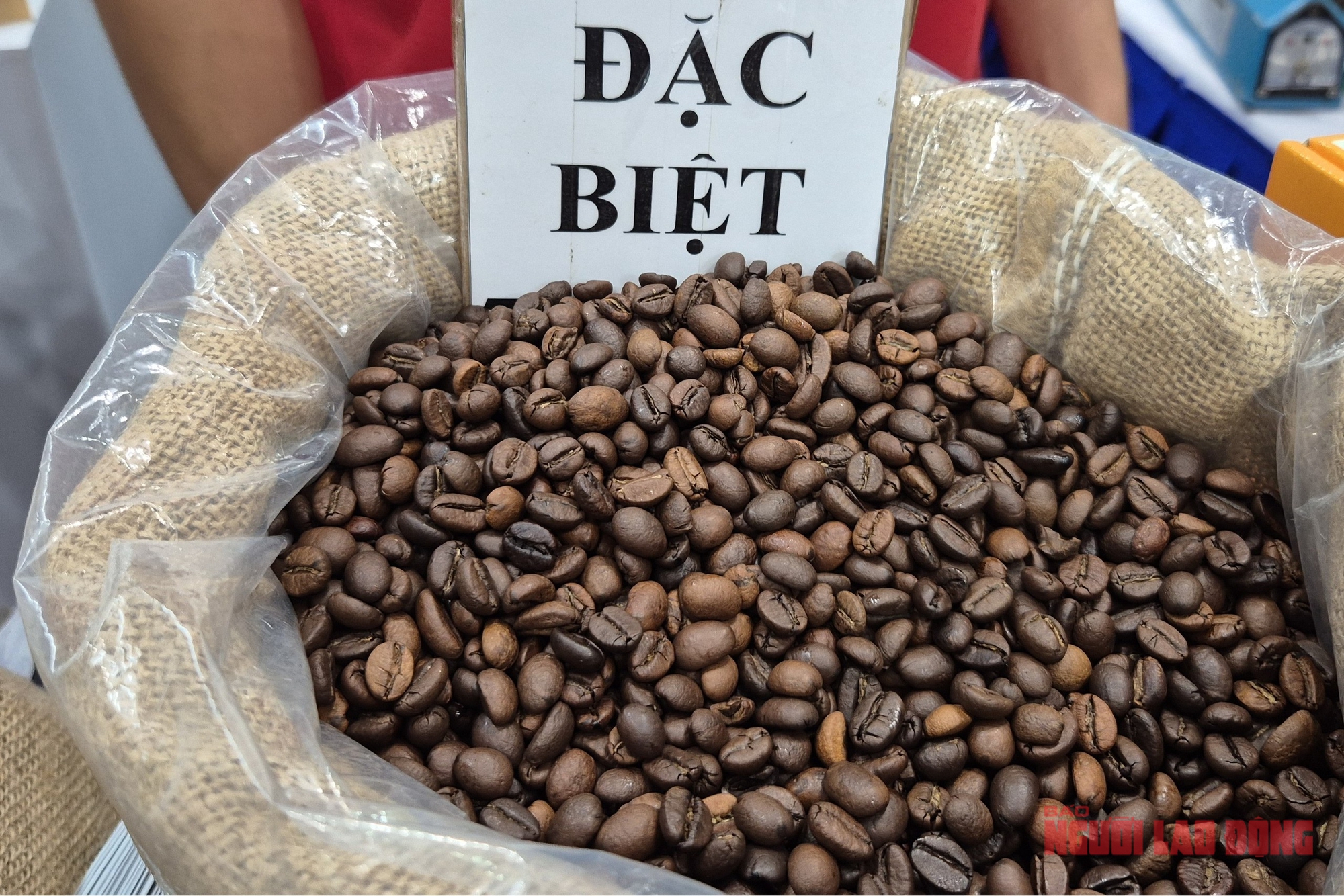 Giá cà phê hôm nay 27 - 11 giảm nhẹ do thời tiết thuận lợi cho thu hoạch - Ảnh 1.