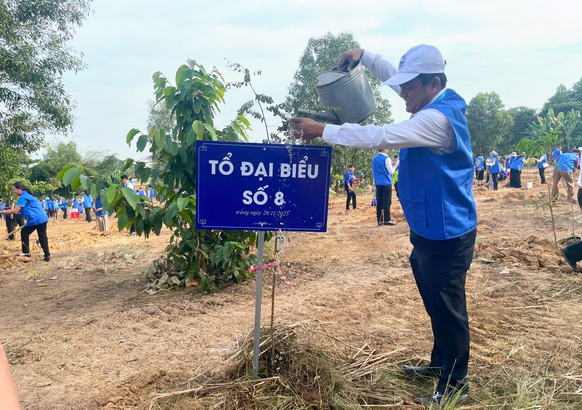 TP HCM phát động trồng 500 cây xanh tại phường Chánh Hiệp hướng tới đô thị xanh - Ảnh 4.