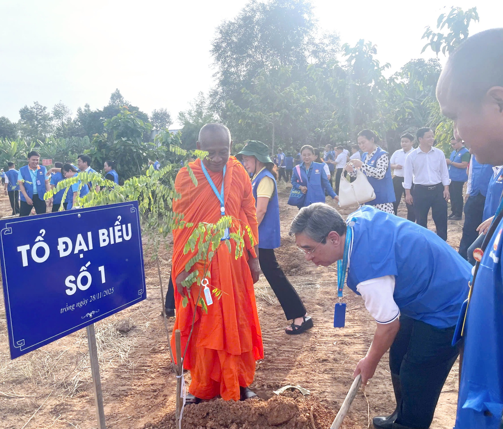 TP HCM phát động trồng 500 cây xanh tại phường Chánh Hiệp hướng tới đô thị xanh - Ảnh 1.