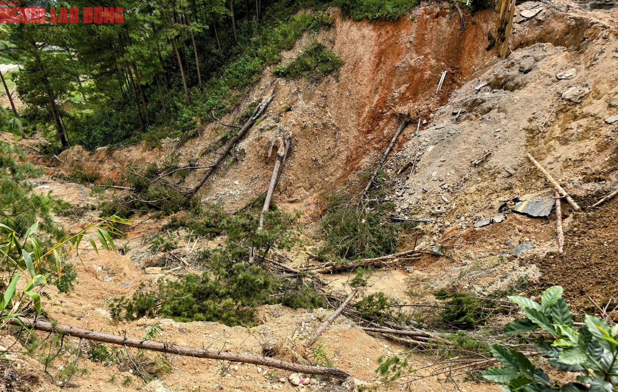 "Chạy đua" làm đường tạm đèo Mimosa để kịp thông xe tở lại ngày 30-11 - Ảnh 4.
