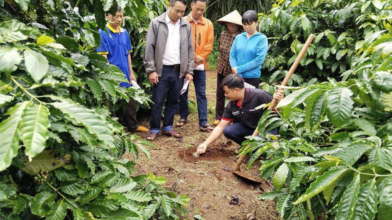 Hợp tác thúc đẩy tăng trưởng bền vững và hiên thưc hoa mục tiêu Net Zero tại Việt Nam - Ảnh 2.