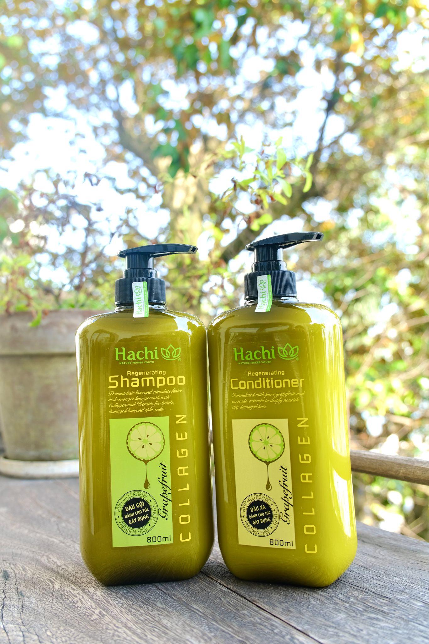 Hachi ra mắt bộ đôi gội xả Bưởi Bơ Regenerating cho tóc gãy rụng - Ảnh 1.
