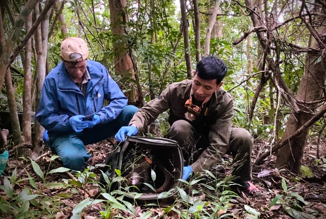 7 con vật bị đe dọa tuyệt chủng trên toàn cầu được thả về tự nhiên - Ảnh 1.