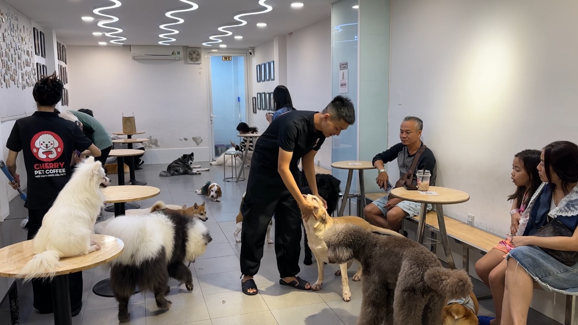 TP HCM triển khai quy định khai báo chó mèo tại quán cà phê thú cưng - Ảnh 1.