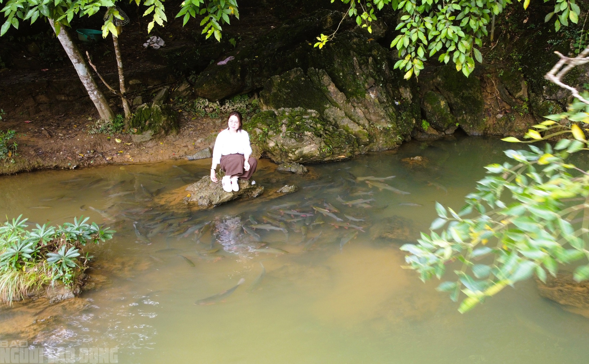 Có một suối "cá thần" khác ở Thanh Hóa mà nhiều người chưa biết - Ảnh 3.