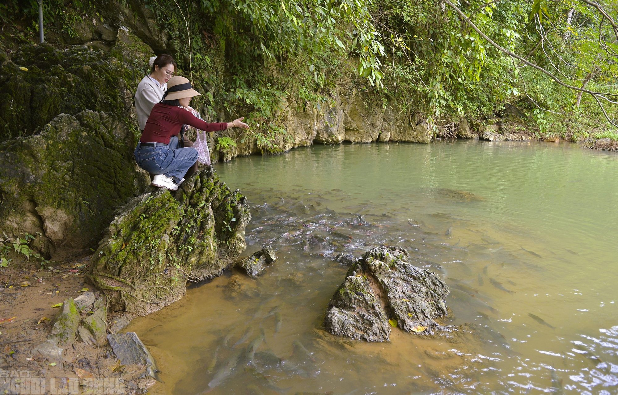 Có một suối "cá thần" khác ở Thanh Hóa mà nhiều người chưa biết - Ảnh 4.