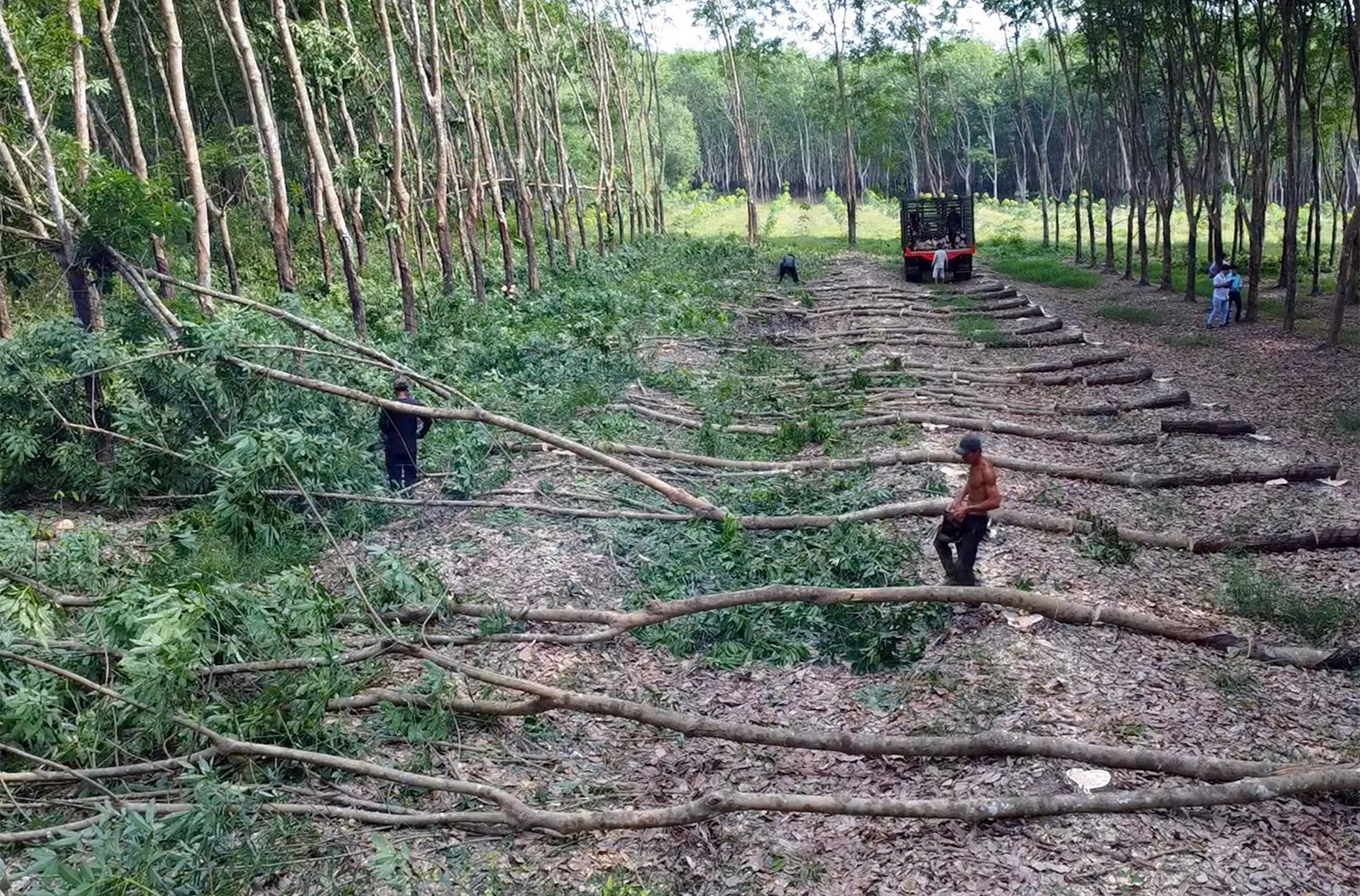 Đồng Nai phê bình 3 đơn vị giải phóng mặt bằng cao tốc Gia Nghĩa - Chơn Thành - Ảnh 1.