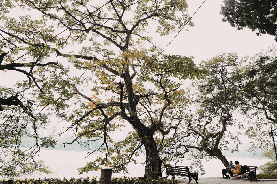 Nơi thời gian chạm nhẹ lụa sương - Ảnh 2.