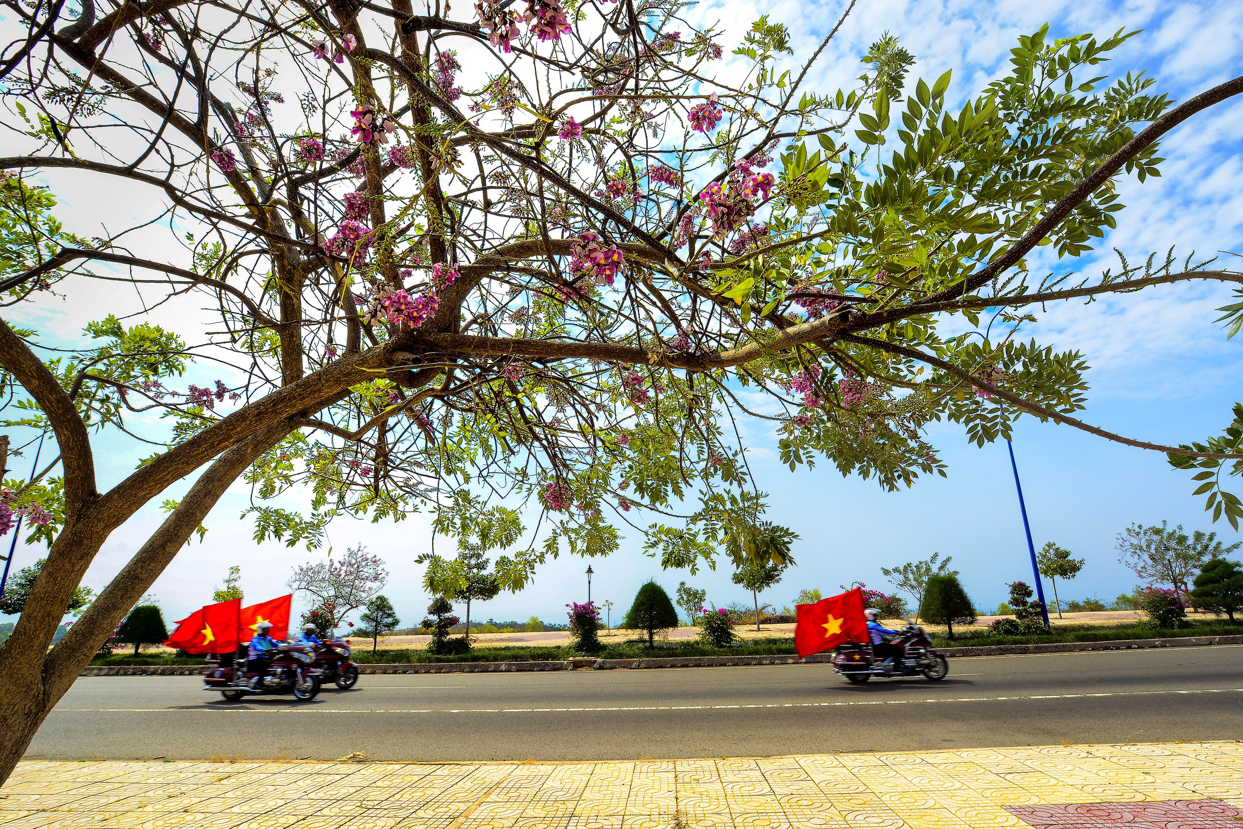 Ảnh đẹp trong tuần: Đất nước trọn niềm vui - Ảnh 1. Ảnh đẹp trong tuần: Đất nước trọn niềm vui - Ảnh 1.