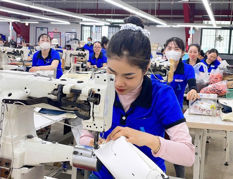 Người lao động được khám sức khỏe từ thời điểm được tuyển dụng: Có khả thi? - Ảnh 2.