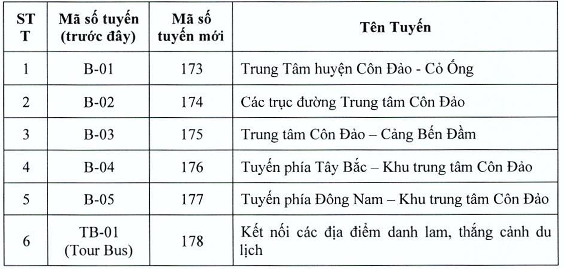 Côn Đảo sắp có tuyến xe buýt điện đầu tiên - Ảnh 2.