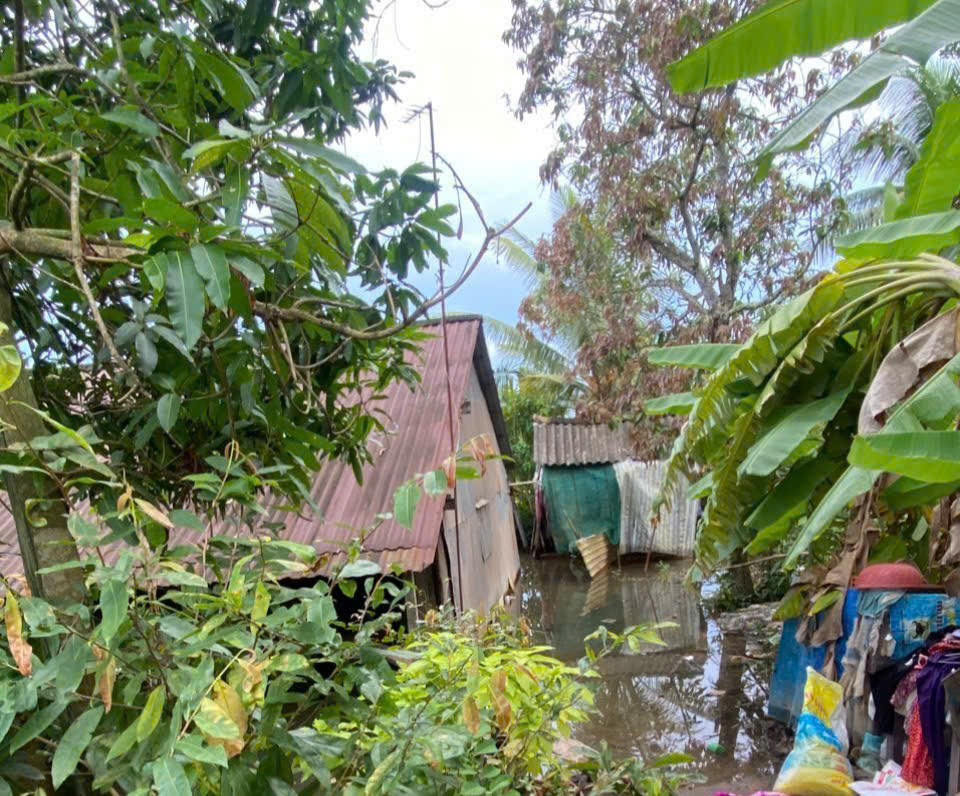 Đồng Tháp: Hai mẹ con tử vong nghi do điện giật trong nhà ngập lũ - Ảnh 1.