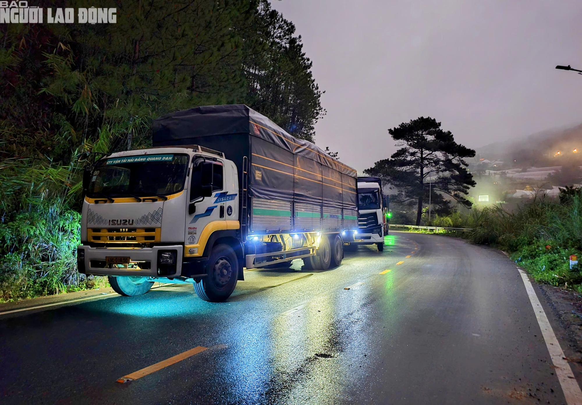 Đèo Mimosa thông tuyến trở lại, xe tải nườm nượp lên xuống Đà Lạt - Ảnh 1.