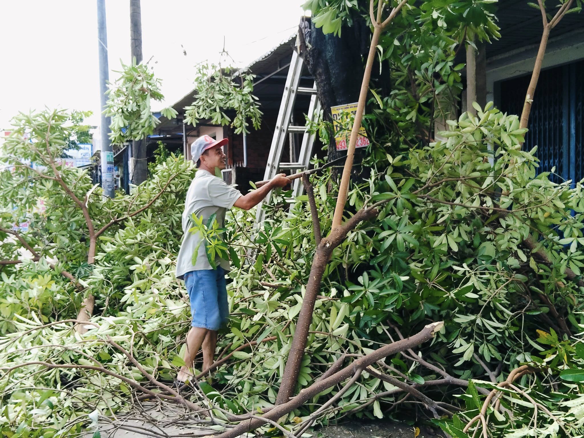 Muôn cách chống bão số 13 Kalmaegi của người dân Quảng Ngãi - Ảnh 7.