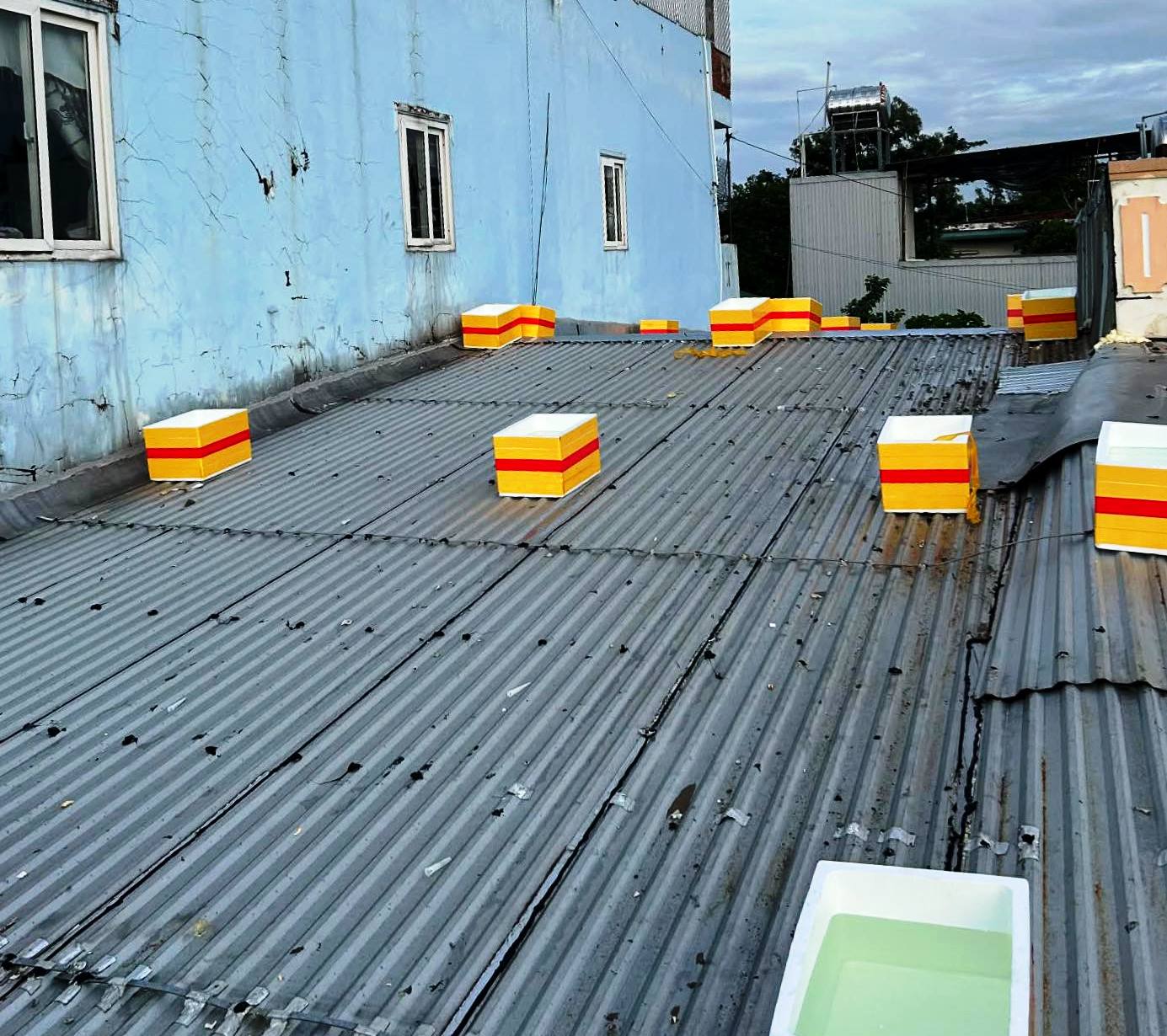 Muôn cách chống bão số 13 Kalmaegi của người dân Quảng Ngãi - Ảnh 4.