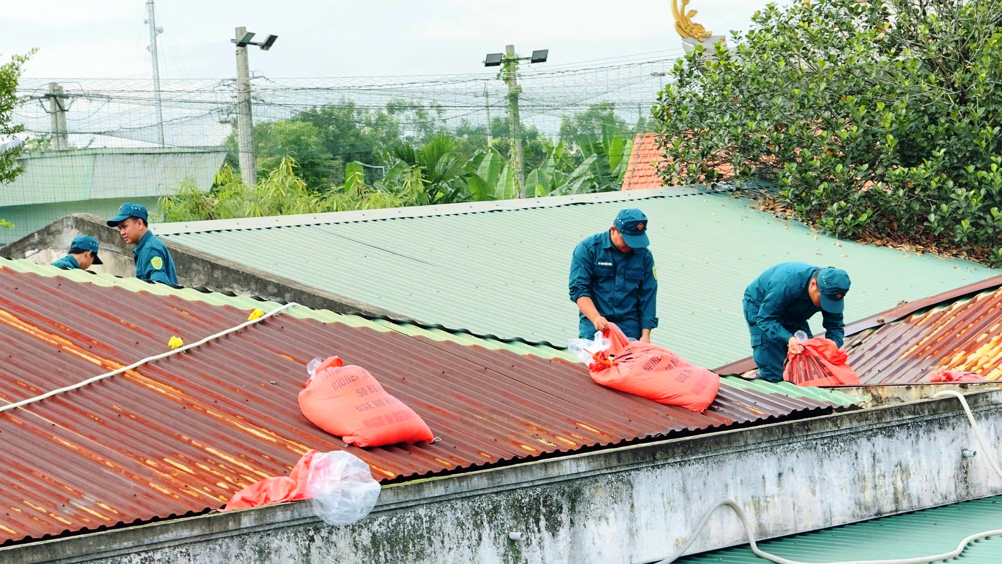 Muôn cách chống bão số 13 Kalmaegi của người dân Quảng Ngãi - Ảnh 3.