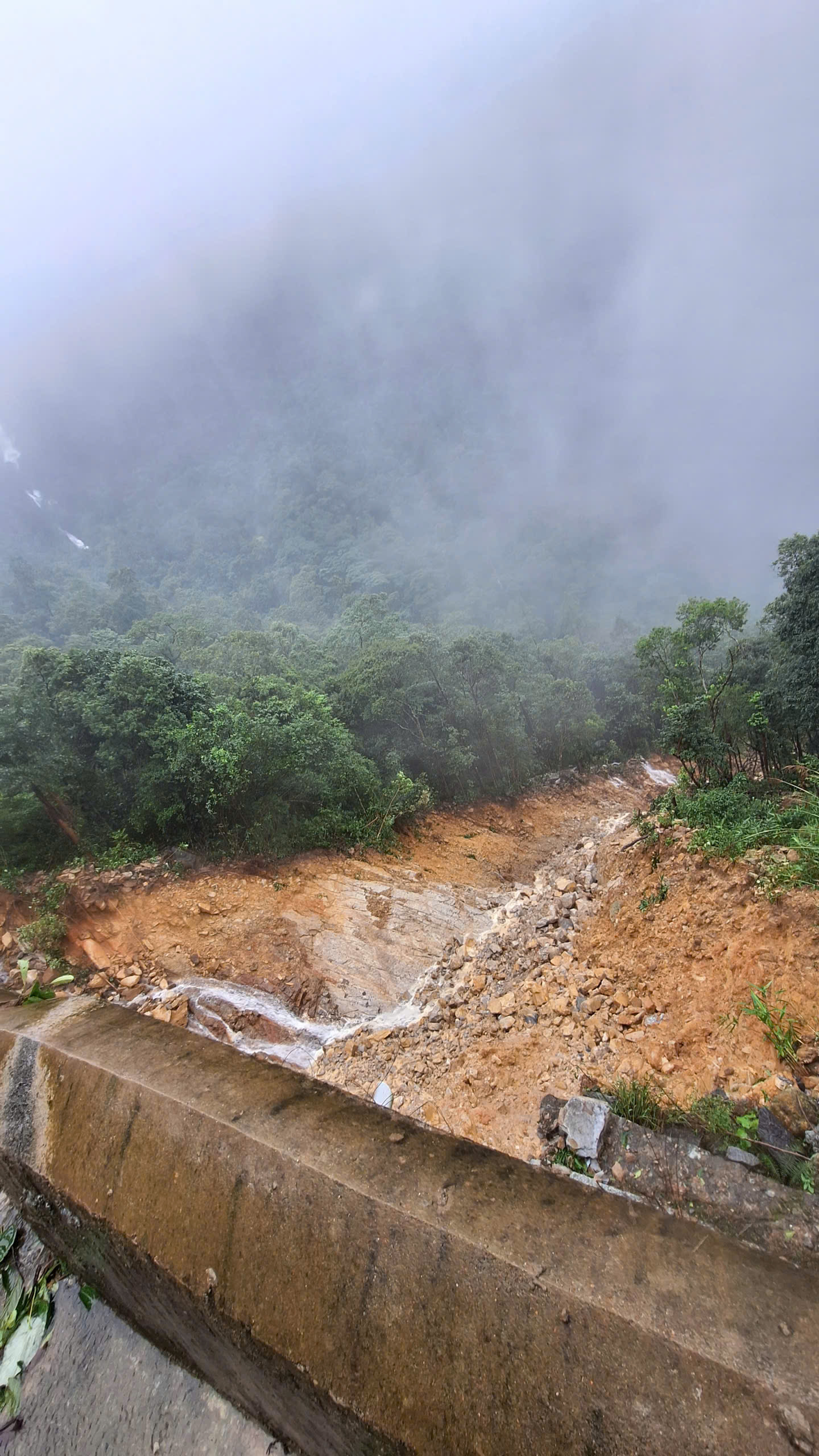 Vườn Quốc gia Bạch Mã ra sau sao đợt mưa kỷ lục đứng thứ 2 thế giới? - Ảnh 16.