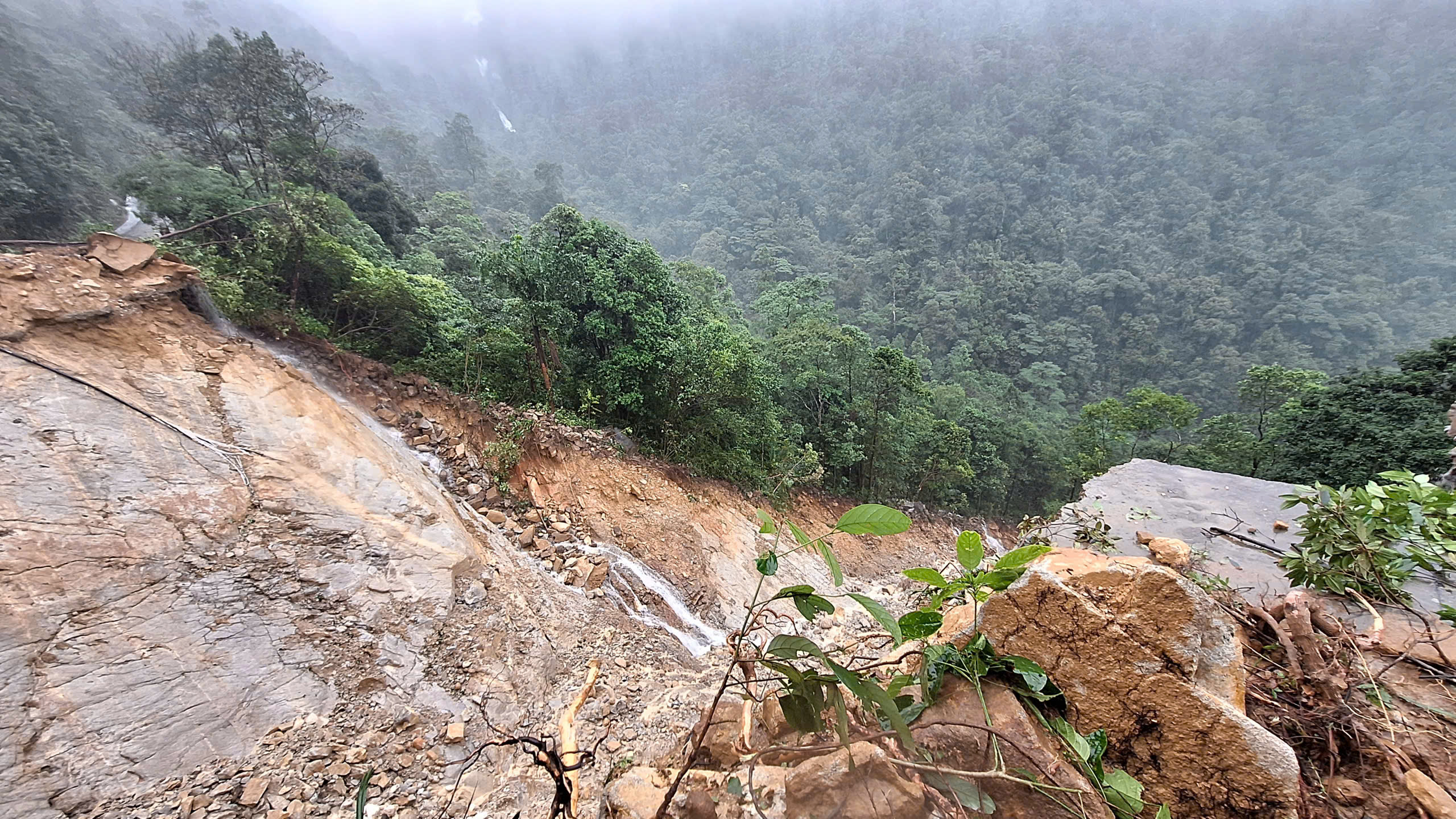 Vườn Quốc gia Bạch Mã ra sau sao đợt mưa kỷ lục đứng thứ 2 thế giới? - Ảnh 3.