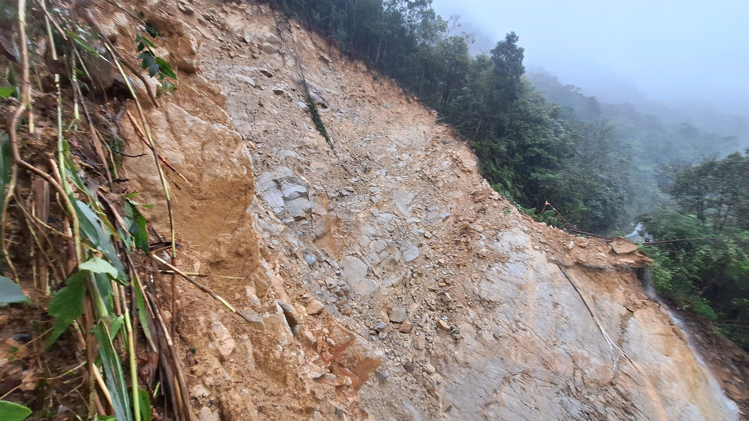 Vườn Quốc gia Bạch Mã ra sau sao đợt mưa kỷ lục đứng thứ 2 thế giới? - Ảnh 2.