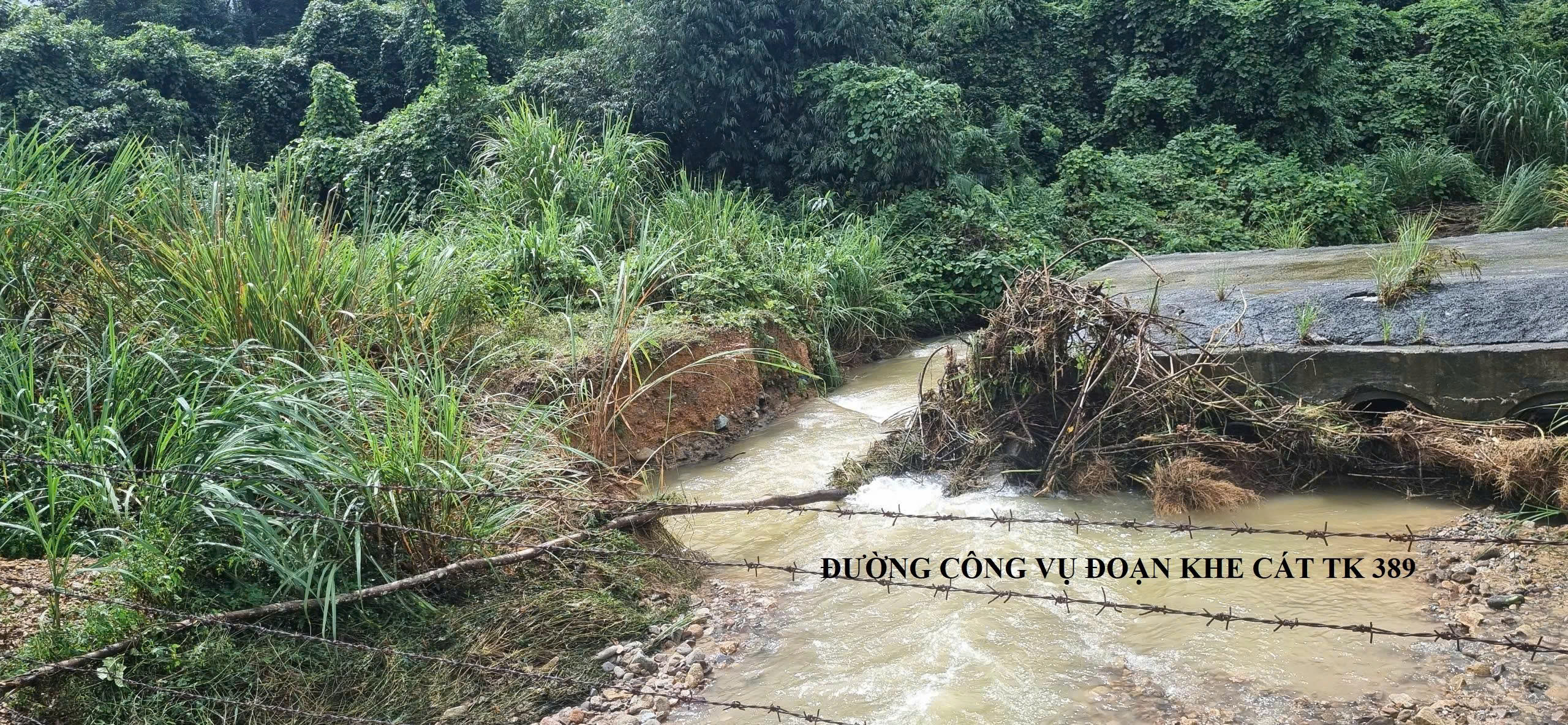 Vườn Quốc gia Bạch Mã ra sau sao đợt mưa kỷ lục đứng thứ 2 thế giới? - Ảnh 15.