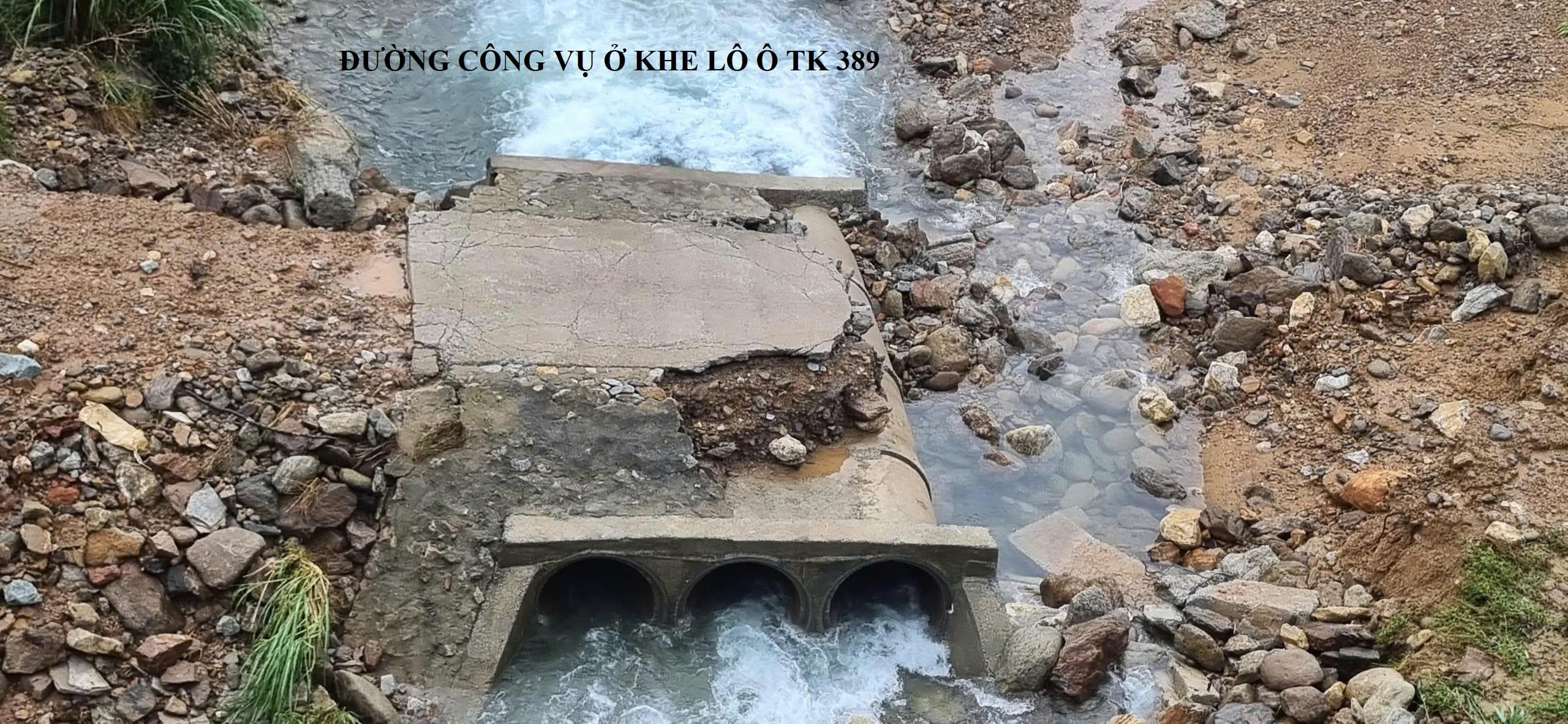 Vườn Quốc gia Bạch Mã ra sau sao đợt mưa kỷ lục đứng thứ 2 thế giới? - Ảnh 11.