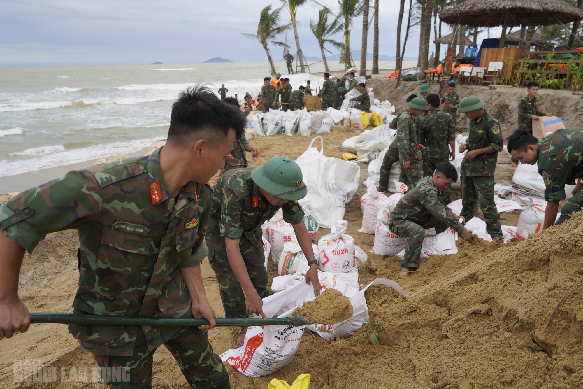 Đà Nẵng sơ tán dân khẩn cấp trước bão Kalmaegi để đảm bảo an toàn - Ảnh 1.