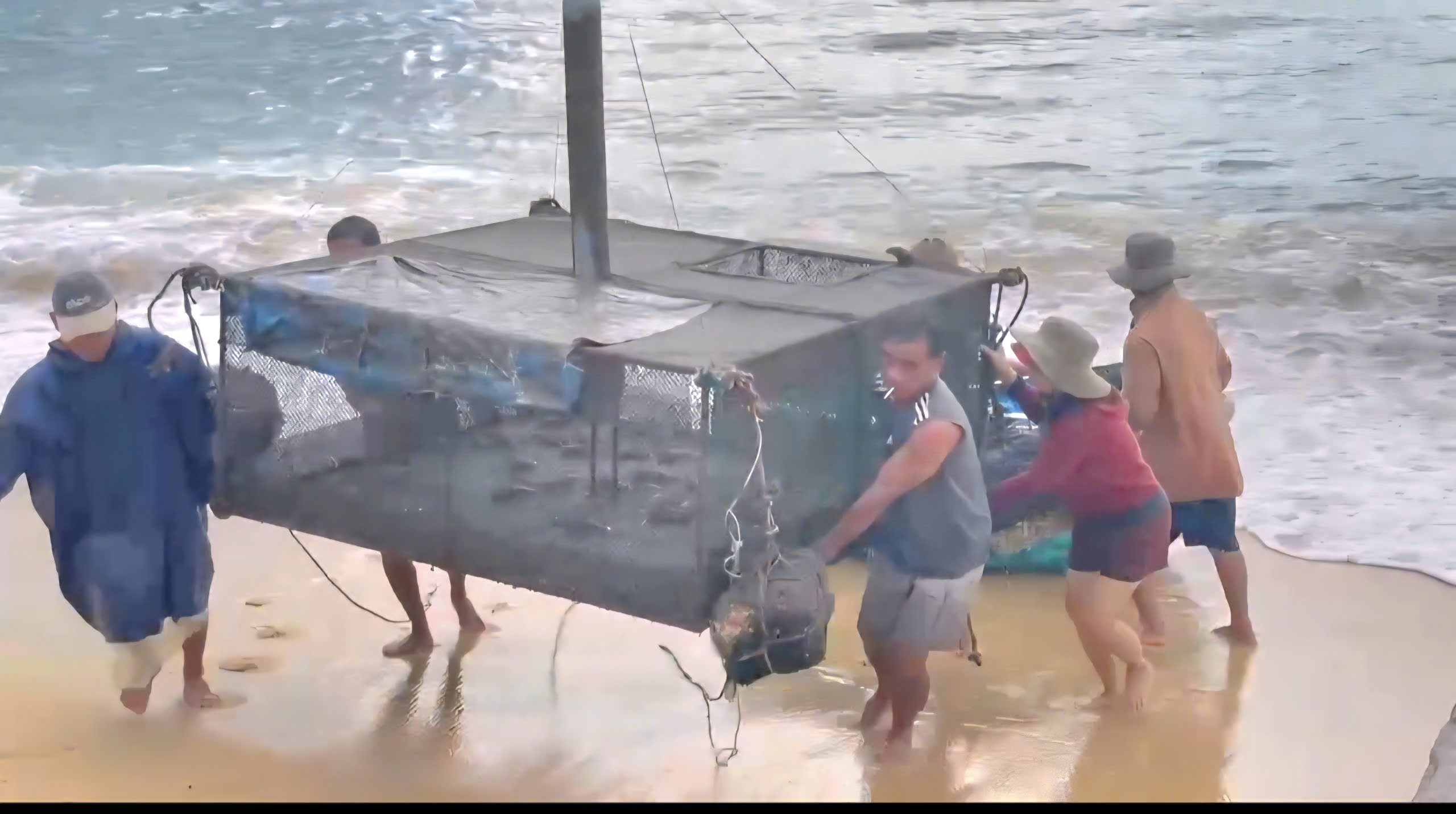 - Ảnh 1. - Ảnh 1.