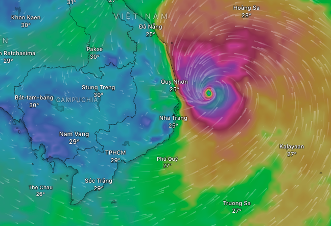Bão số 13 Kalmaegi đổ bộ giật cấp 15 - 16 tại Quảng Ngãi – Gia Lai - Ảnh 1. Bão số 13 Kalmaegi đổ bộ giật cấp 15 - 16 tại Quảng Ngãi – Gia Lai - Ảnh 1.
