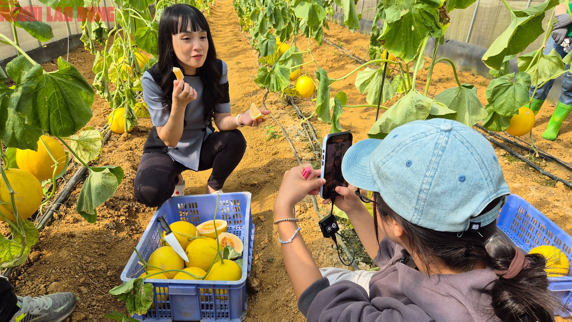 Đưa vườn cam, dưa kim hoàng hậu vùng cao lên sóng livestream - Ảnh 2.
