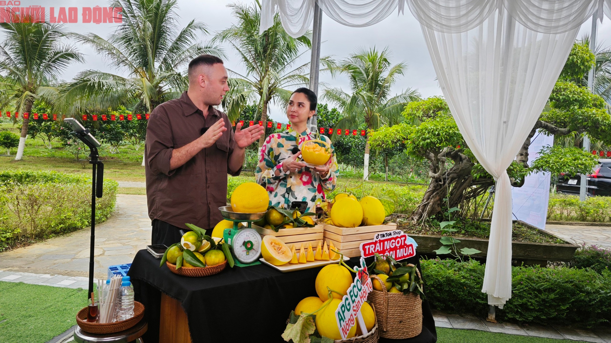 Đưa vườn cam, dưa kim hoàng hậu vùng cao lên sóng livestream - Ảnh 3.