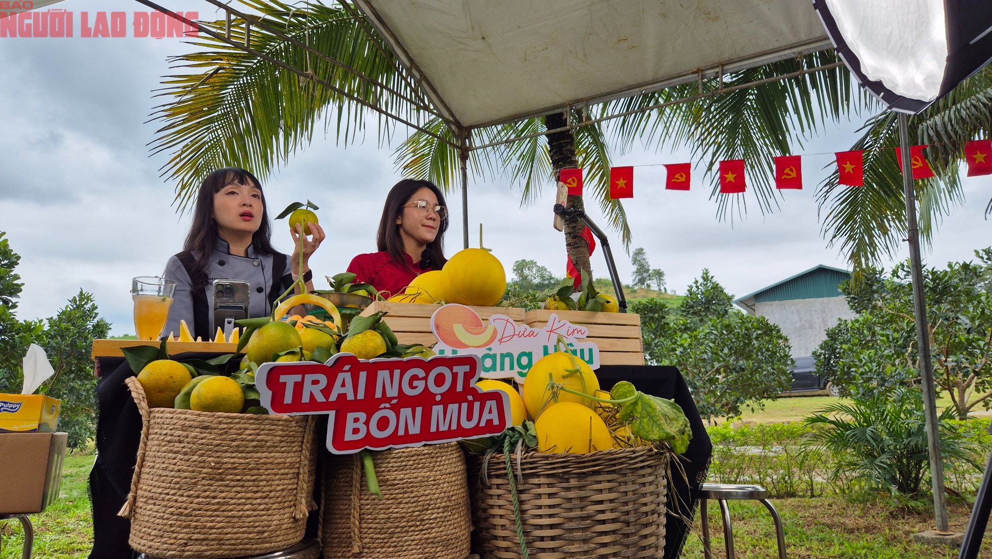 Đưa vườn cam, dưa kim hoàng hậu vùng cao lên sóng livestream - Ảnh 4.