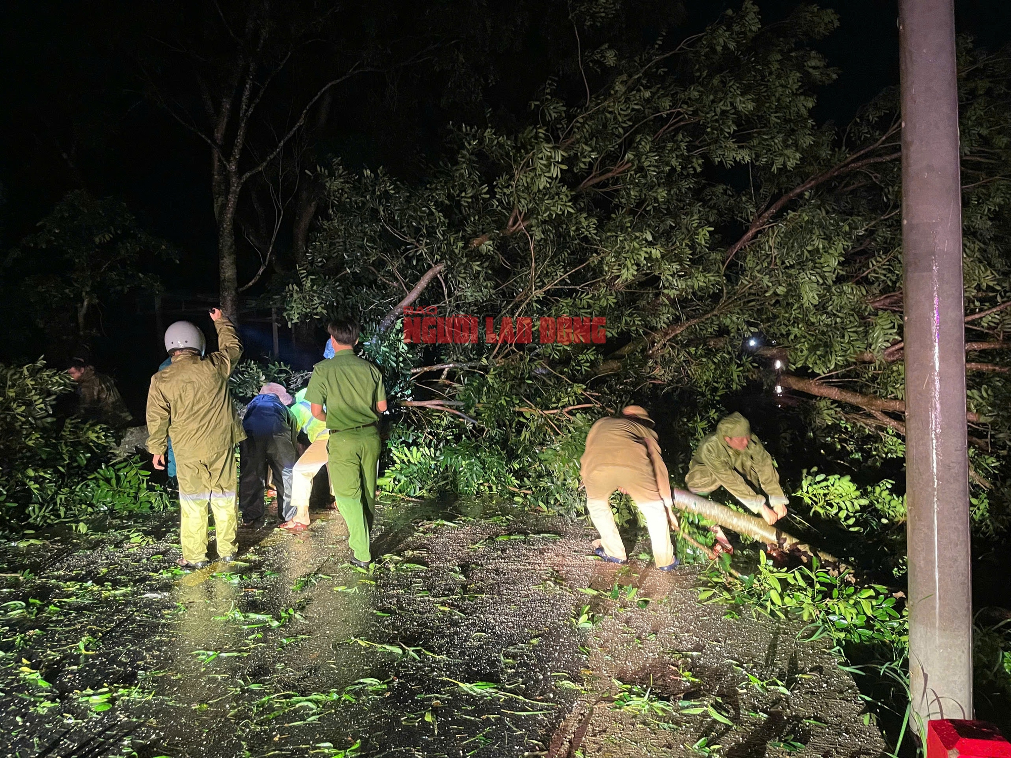 Bão số 13 Kalmaegi: Những thiệt hại nặng nề ở Gia Lai, Đắk Lắk - Ảnh 5.