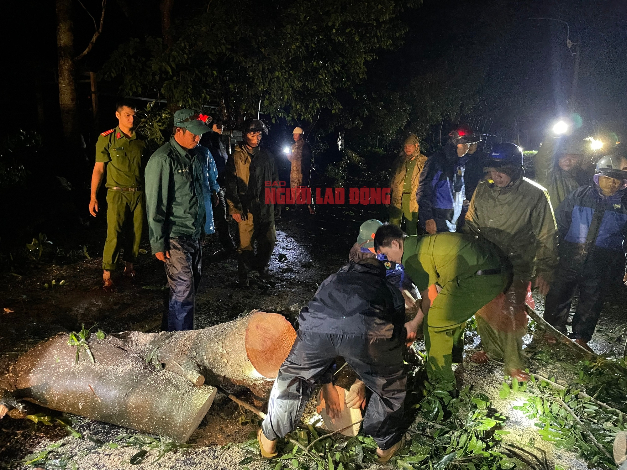 Bão số 13 Kalmaegi: Những thiệt hại nặng nề ở Gia Lai, Đắk Lắk - Ảnh 6.