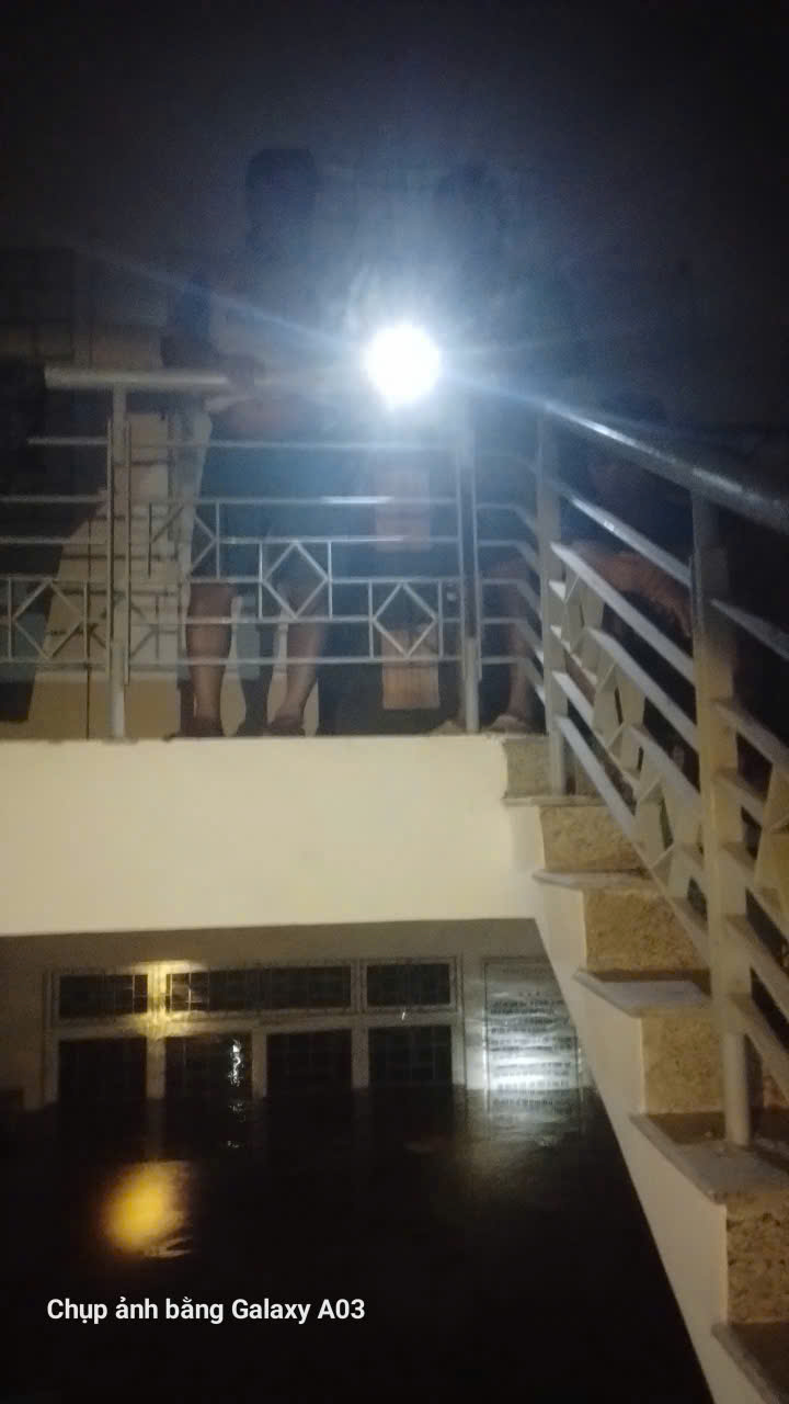 Bão số 13 Kalmaegi: Những thiệt hại nặng nề ở Gia Lai, Đắk Lắk - Ảnh 1.