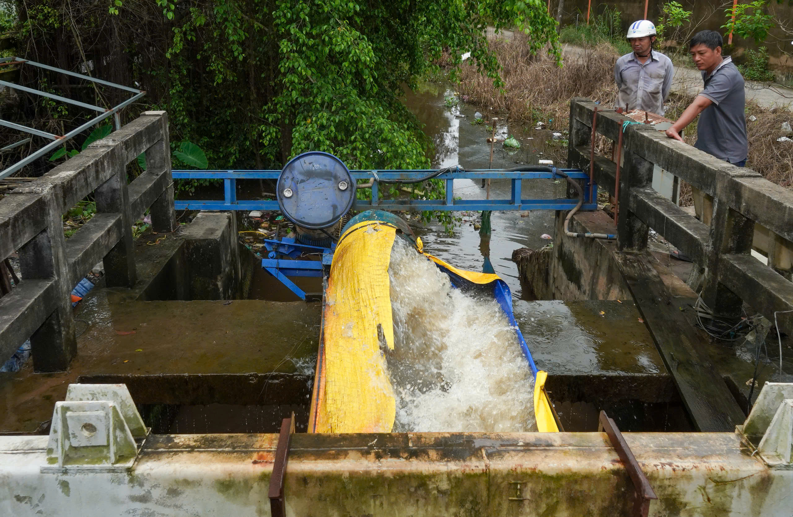 Lãnh đạo TP HCM thăm làng mai Bình Lợi ngập do triều cường - Ảnh 7.