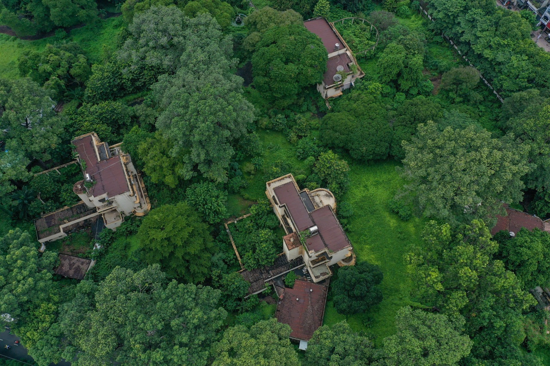 Không gian tưởng niệm nạn nhân COVID-19 ở TP HCM: Nơi hồi sinh từ mất mát - Ảnh 1. Không gian tưởng niệm nạn nhân COVID-19 ở TP HCM: Nơi hồi sinh từ mất mát - Ảnh 1.