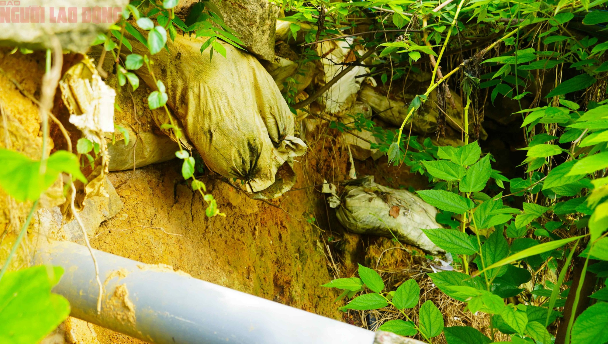 Cận cảnh khu vực nguy cơ sạt lở khiến 81 người ở Vũng Tàu phải di dời trong đêm - Ảnh 6.