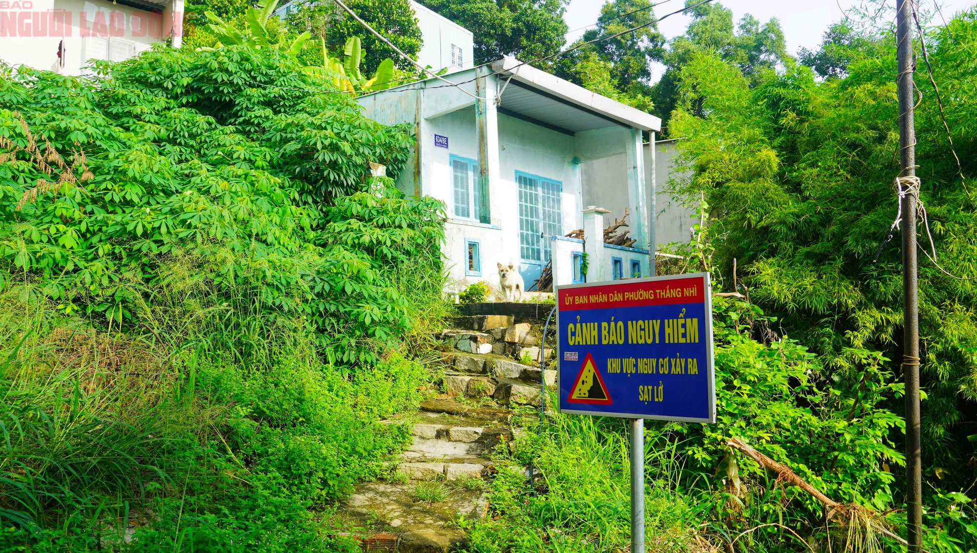 Cận cảnh khu vực nguy cơ sạt lở khiến 81 người ở Vũng Tàu phải di dời trong đêm - Ảnh 10.