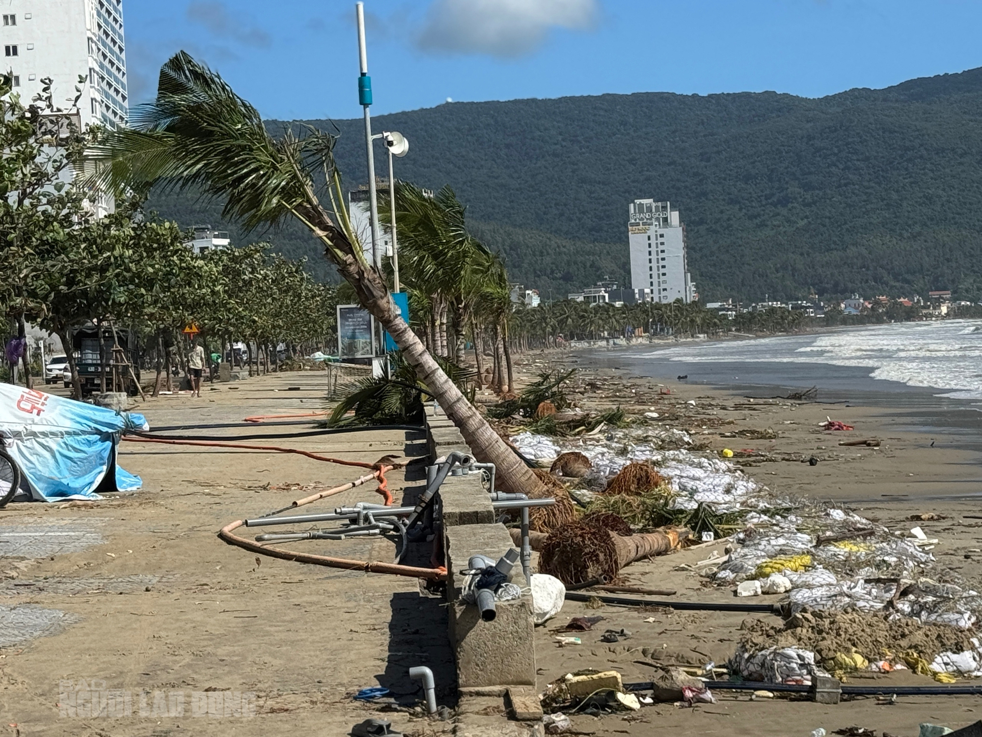 Hình ảnh bãi biển Đà Nẵng ngổn ngang sau bão số 13 Kalmaegi - Ảnh 2.