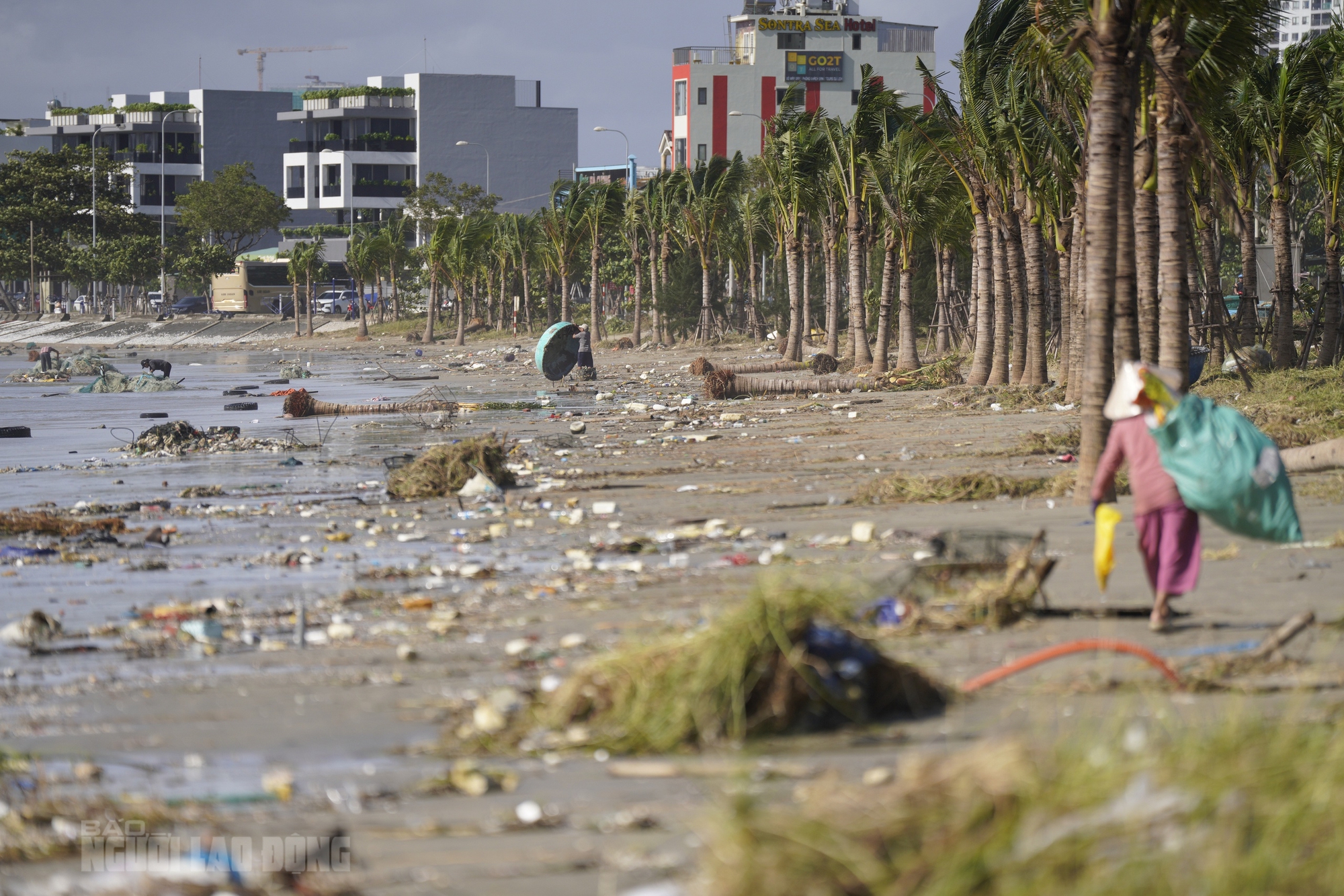 Hình ảnh bãi biển Đà Nẵng ngổn ngang sau bão số 13 Kalmaegi - Ảnh 3.