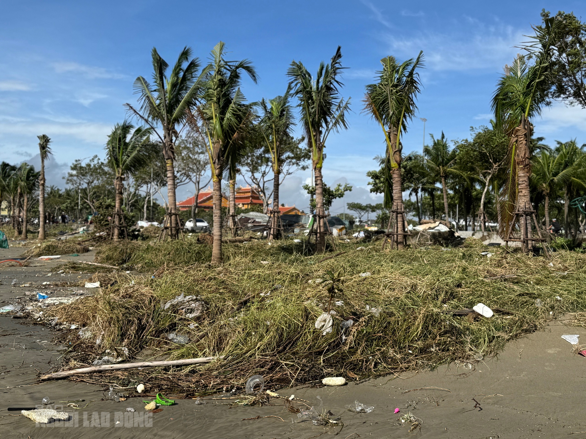 Hình ảnh bãi biển Đà Nẵng ngổn ngang sau bão số 13 Kalmaegi - Ảnh 5.