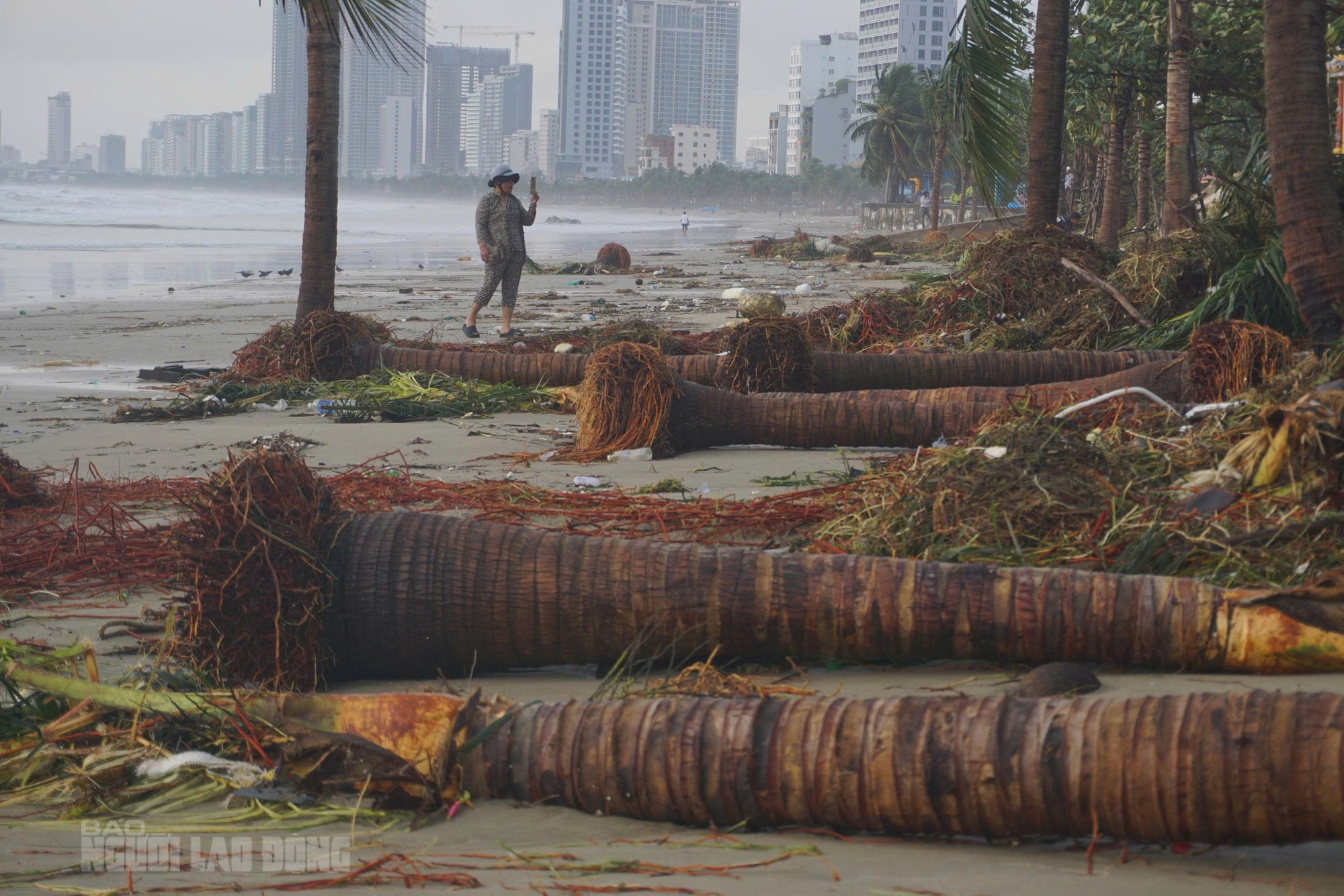 Hình ảnh bãi biển Đà Nẵng ngổn ngang sau bão số 13 Kalmaegi - Ảnh 6.