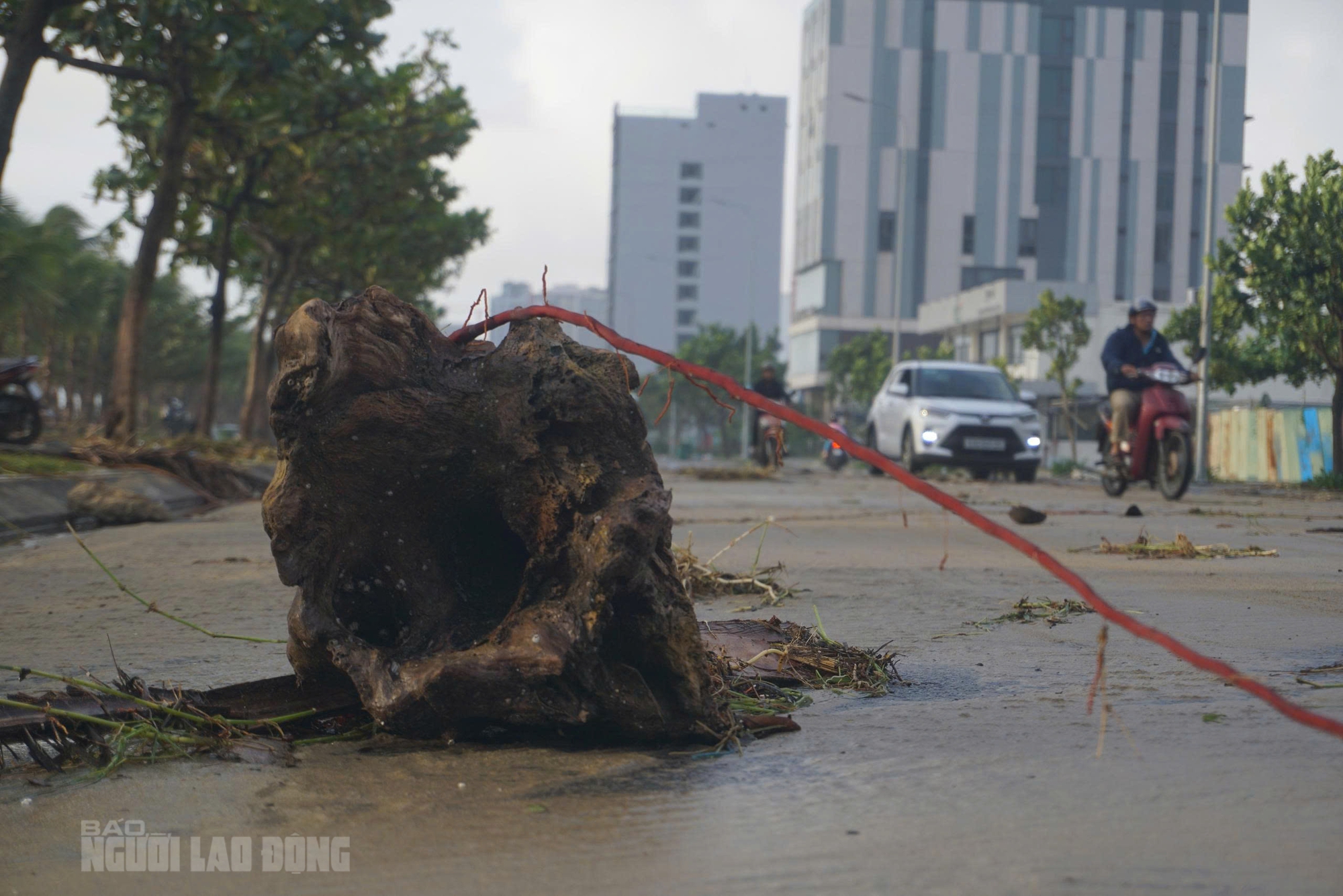 Hình ảnh bãi biển Đà Nẵng ngổn ngang sau bão số 13 Kalmaegi - Ảnh 7.