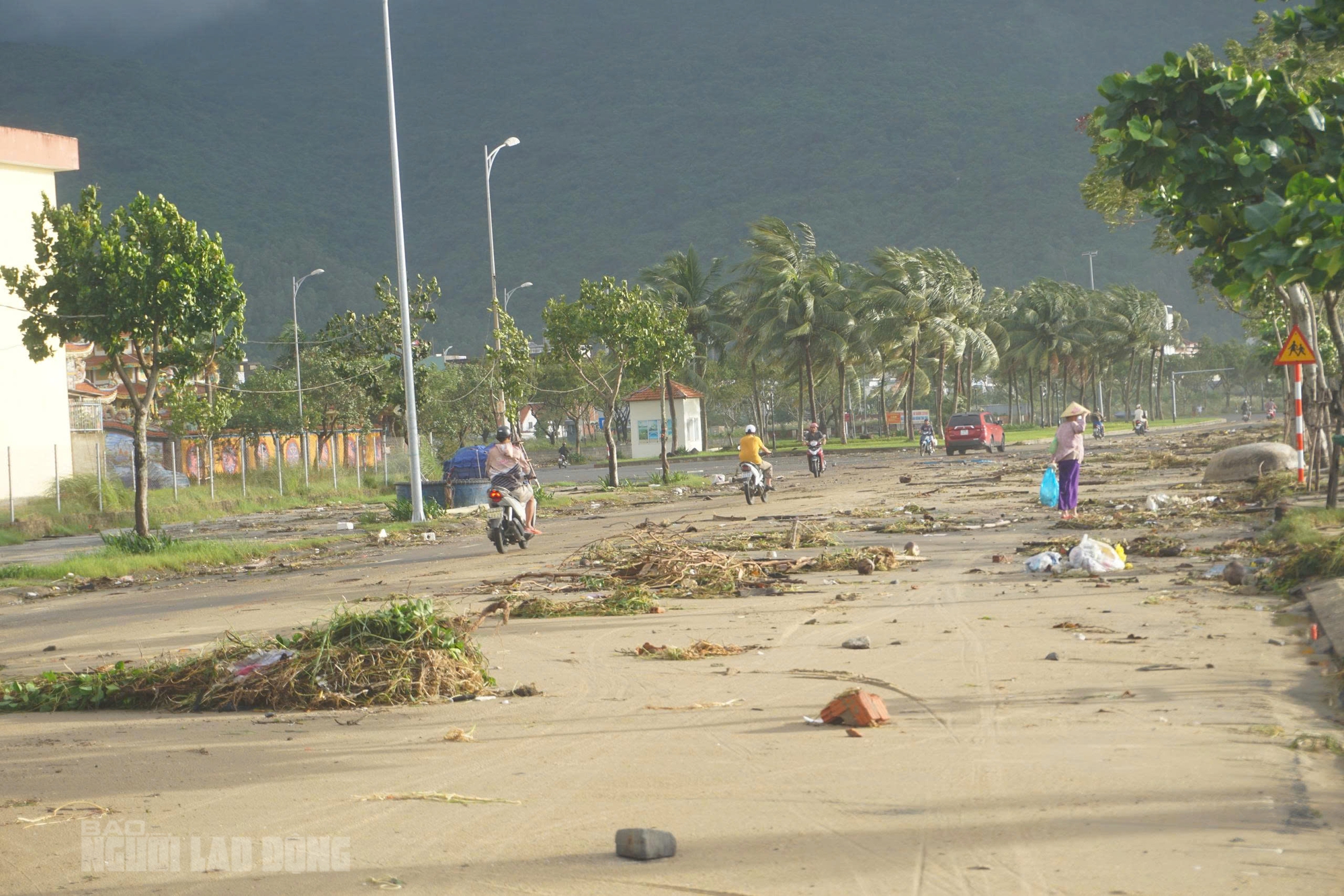 Hình ảnh bãi biển Đà Nẵng ngổn ngang sau bão số 13 Kalmaegi - Ảnh 9.