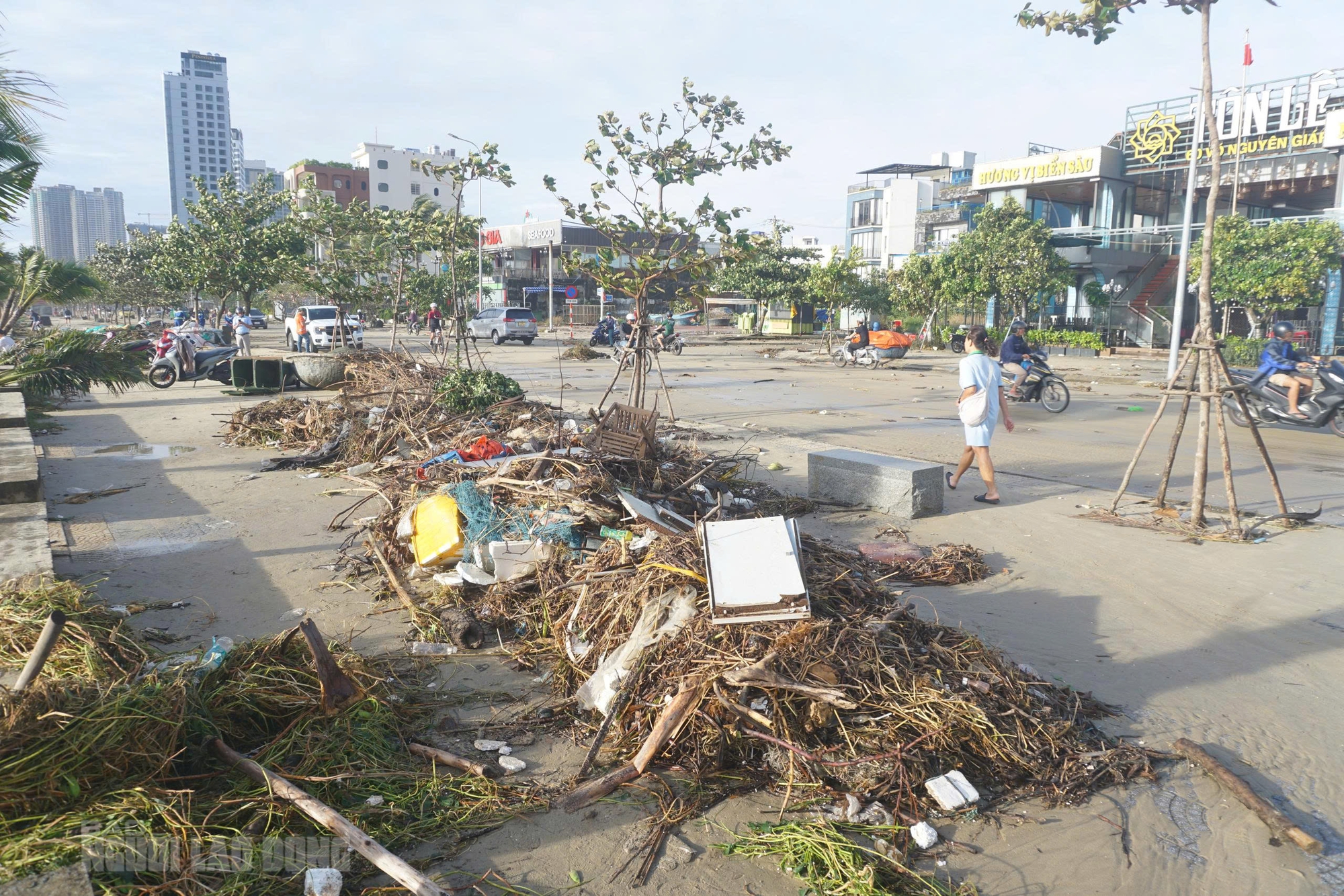 Hình ảnh bãi biển Đà Nẵng ngổn ngang sau bão số 13 Kalmaegi - Ảnh 11.