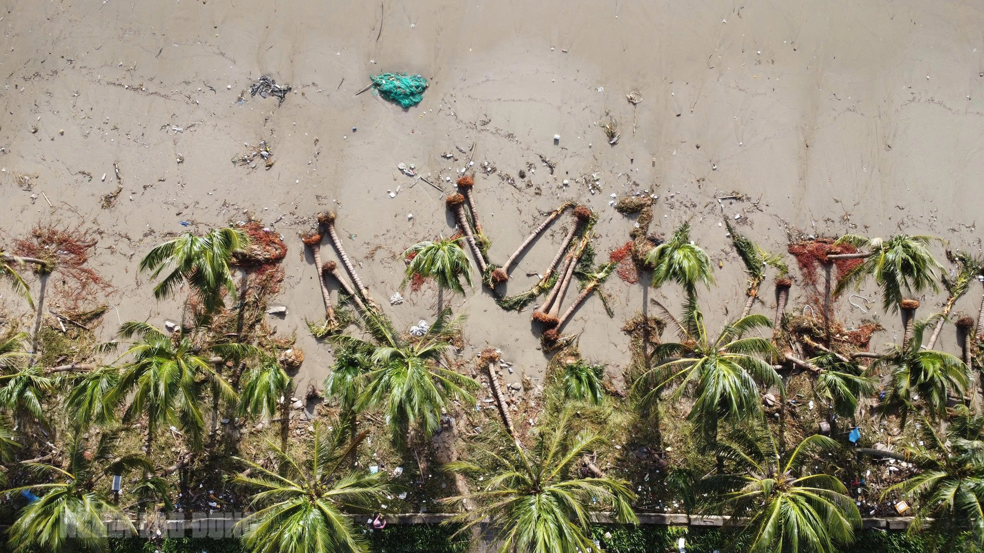 Hình ảnh bãi biển Đà Nẵng ngổn ngang sau bão số 13 Kalmaegi - Ảnh 12.