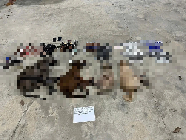 Tìm thấy biển số xanh trong xe ô tô của nhóm trộm chó chuyên nghiệp - Ảnh 1.